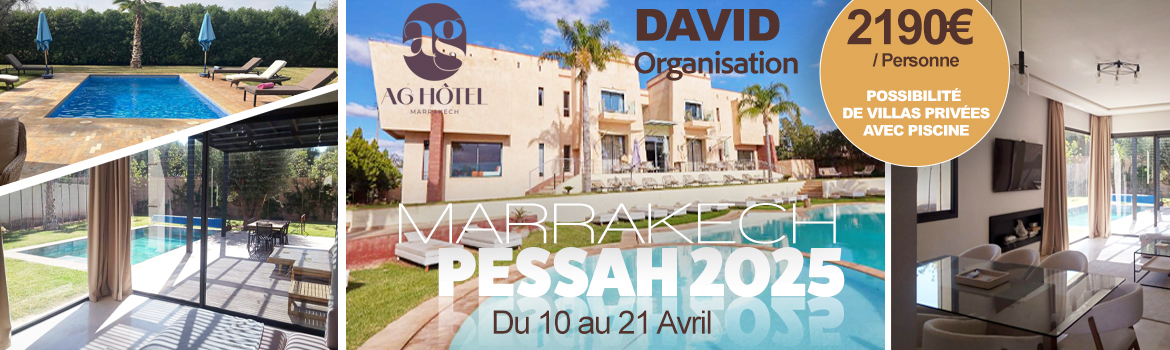 David organisation Pessah